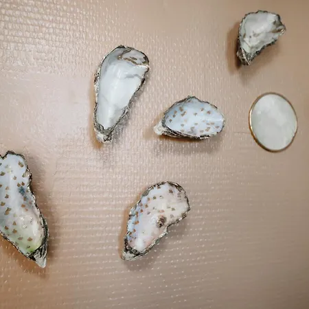 Coquillages Et Crustacés, Netflix Baignoire îlot Chez Ivona